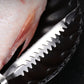 🎉50 % Rabatt, nur heute🎉. Fischschuppenentferner aus Edelstahl